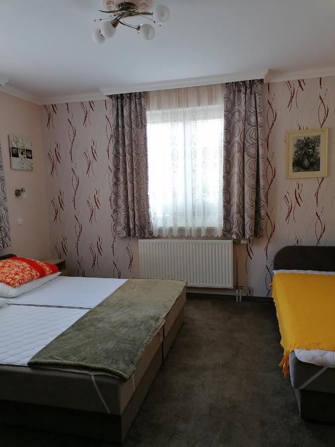 Kaktuszvirág *