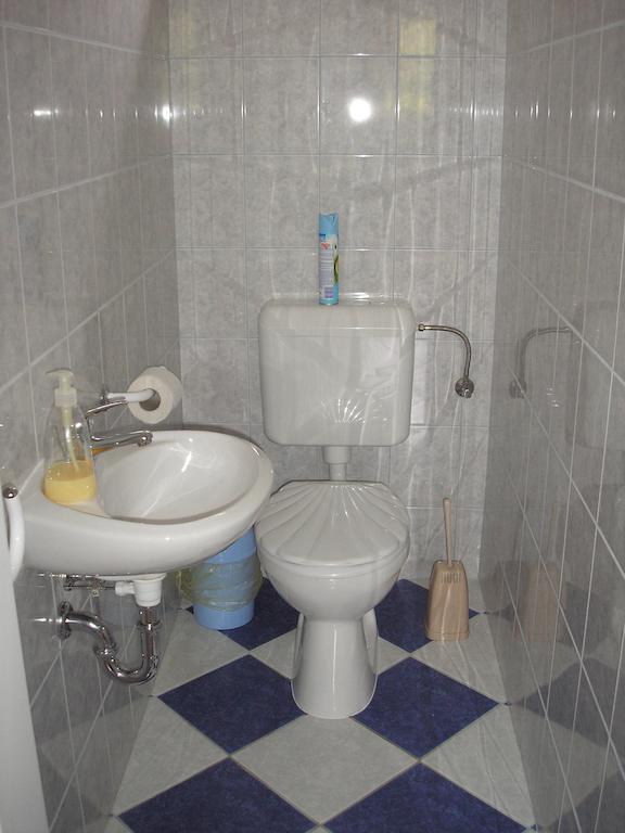 Kaktuszvirág * Hajdúszoboszló